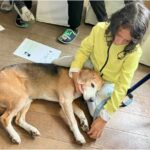 Max le chien qui aide un enfant à gérer sa crise émotionnelle