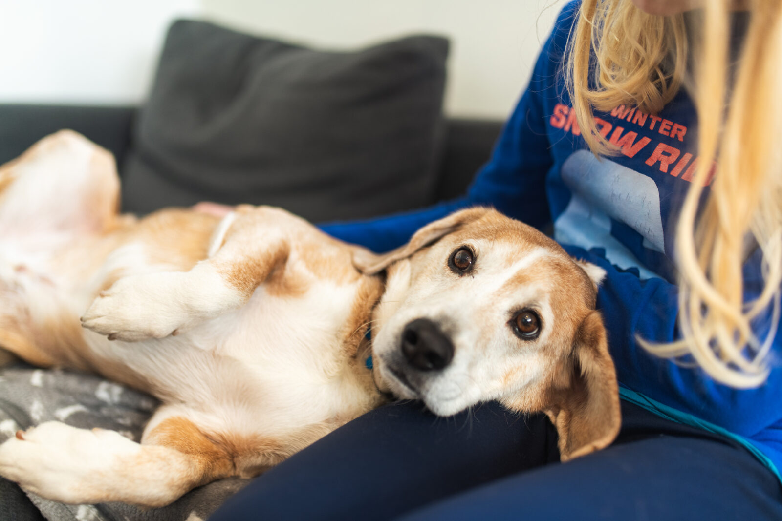 Max le chien, mascotte et accompagnant émotionnel de l'école Arborescences Bry-sur-Marne